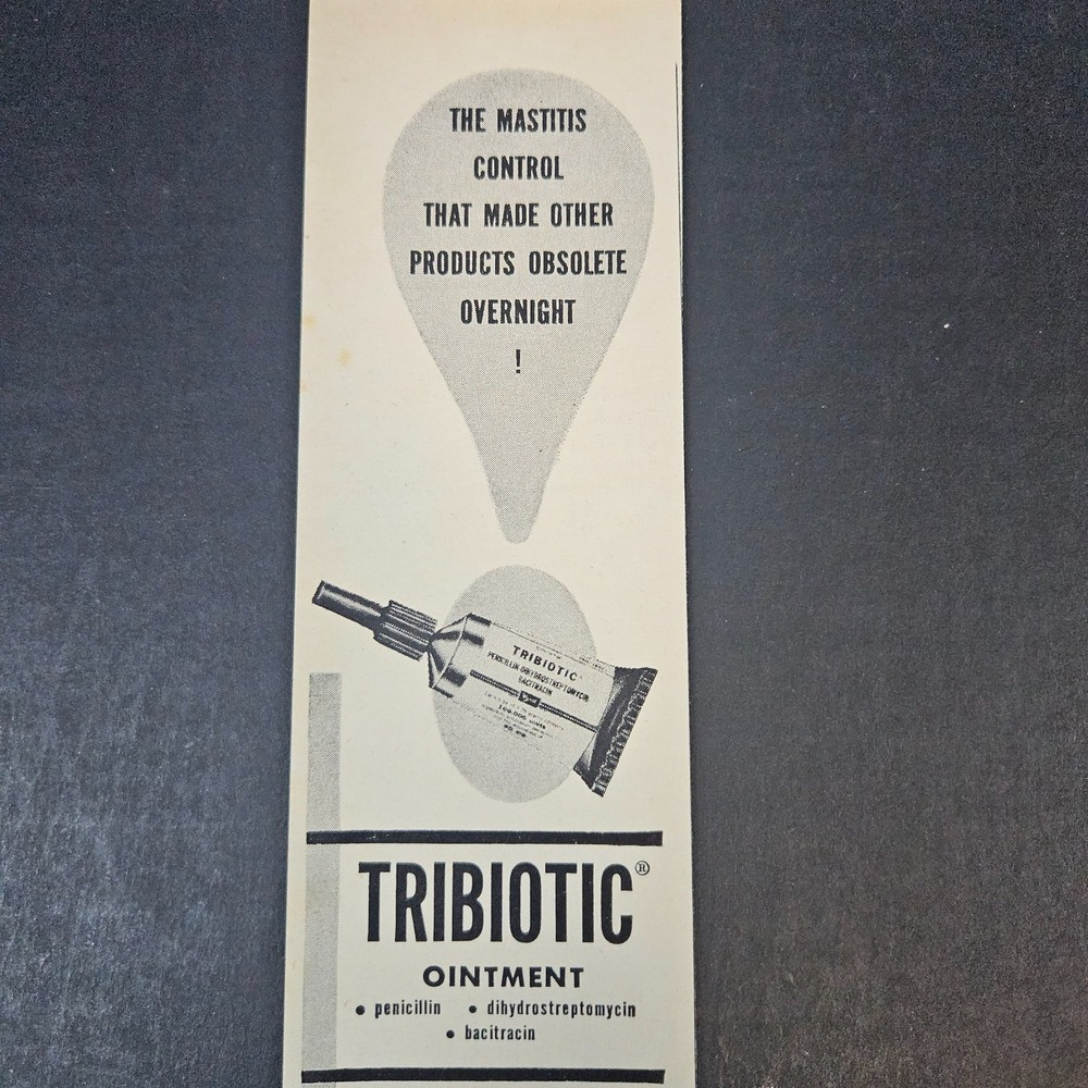 1953 Tribiotic Ointment Mastitis Control Wyeth Vintage Print Ad Philadelphia PA
